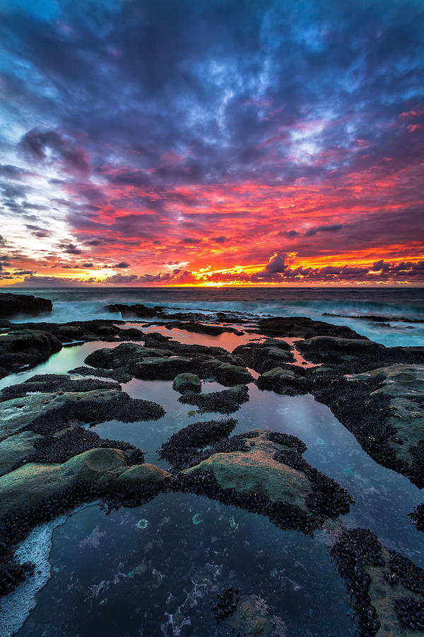 Sunset Photograph - Cape Arago Tidepools by Robert Bynum