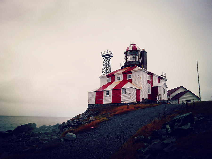 Cape Bonavista Lighthouse Photograph by Zinvolle Art