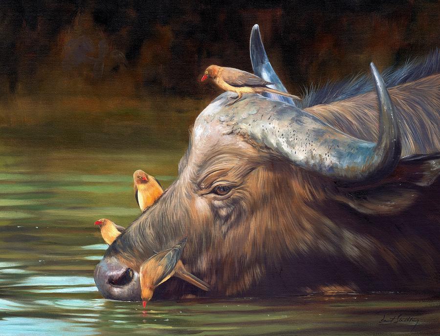 Cape Buffalo and Oxpeckers Painting by David Stribbling