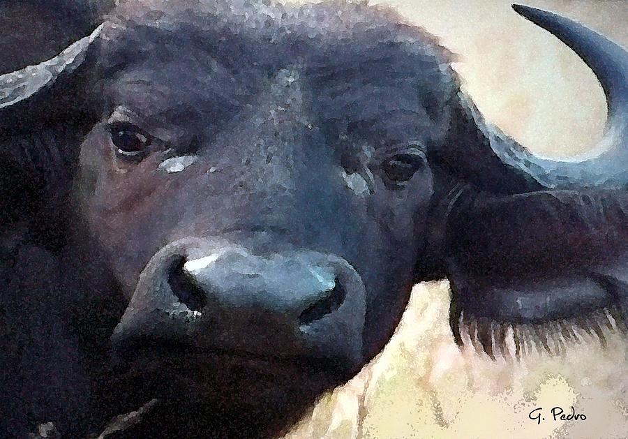 Cape Buffalo Up Close and Personal Painting by George Pedro