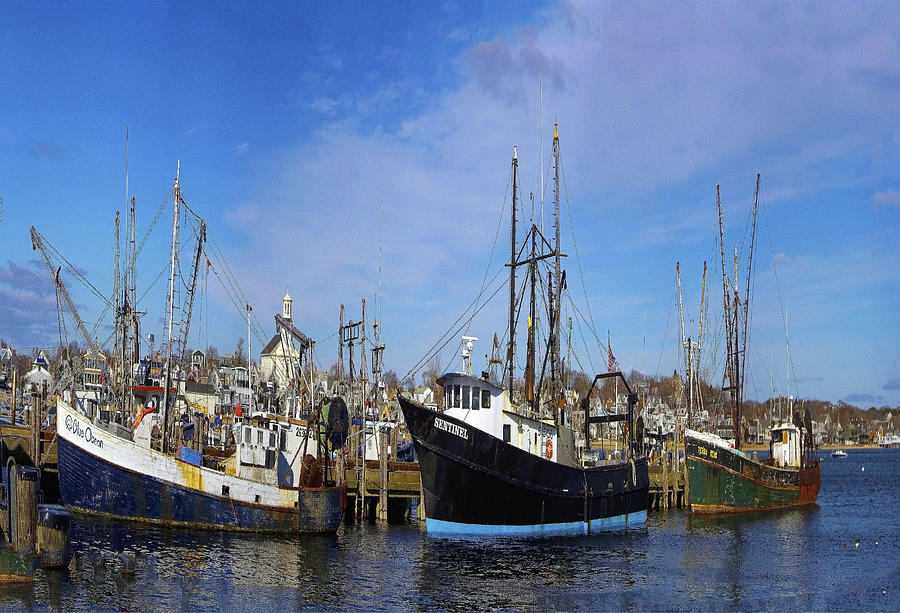 Cape Cod Americana - Provincetown  MacMillan Wharf  Fleet Photograph by Constantine Gregory