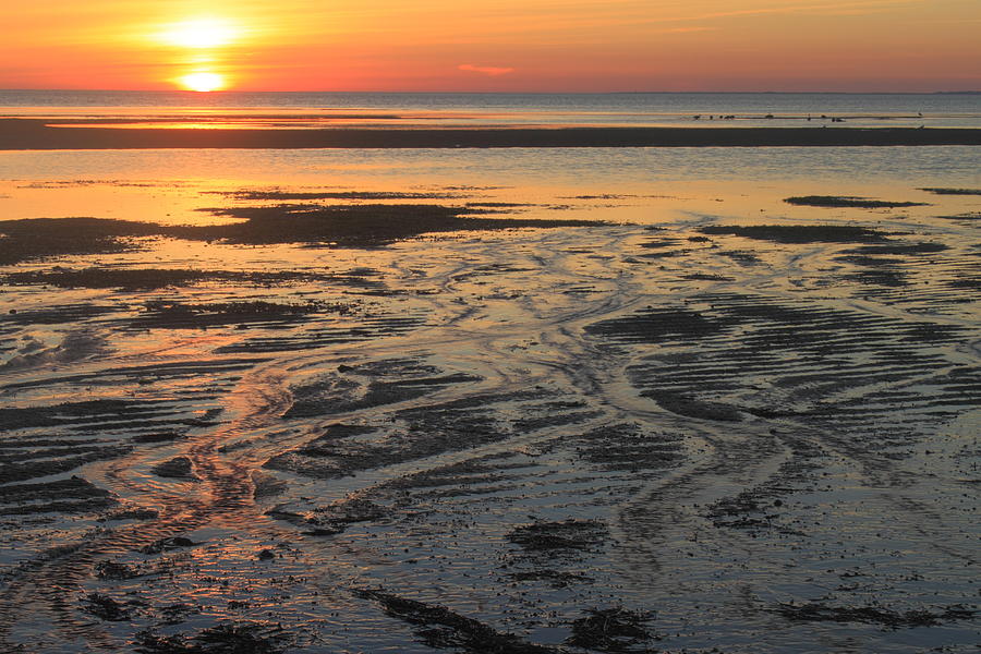Cape Cod Beach Low Tide Sunset Photograph by John Burk