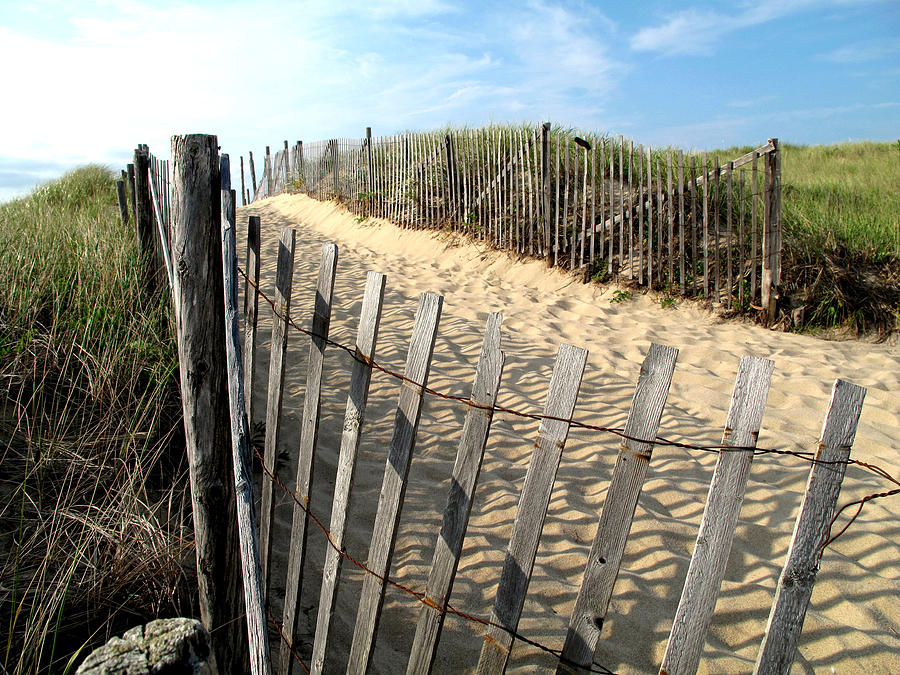 Cape Cod Dune Fencing Photograph by Barbara McDevitt