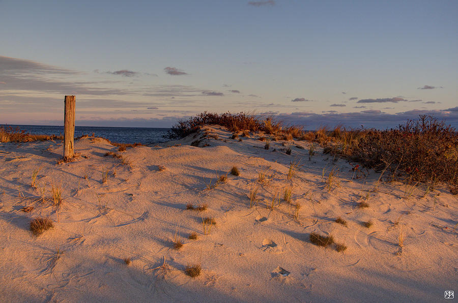 Cape Cod Dune Photograph by John Meader