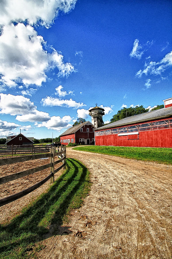 Cape Cod Horse Farm  Photograph by Constantine Gregory