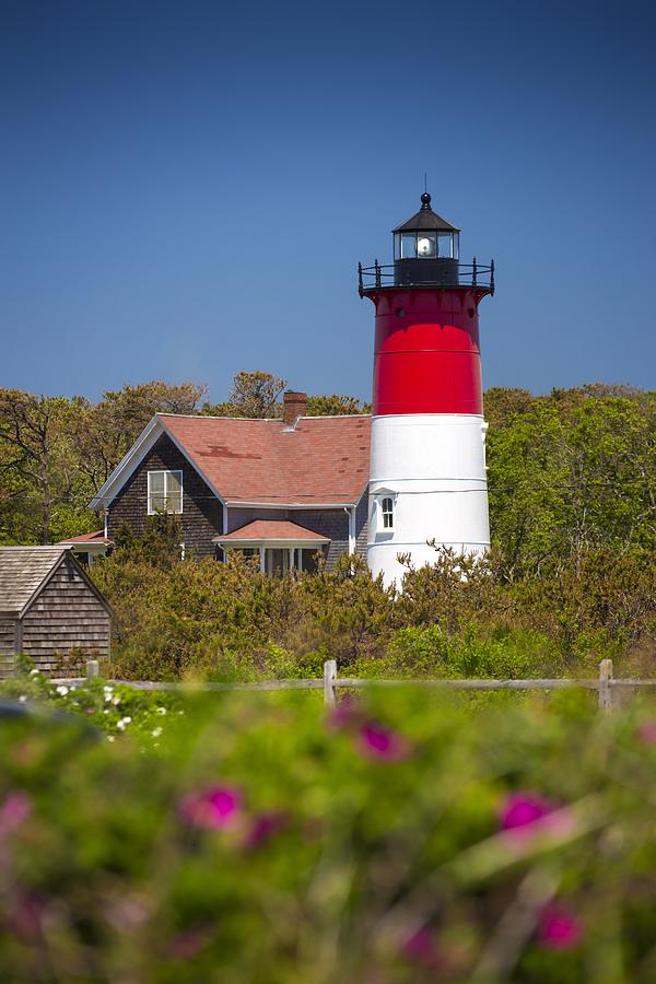 Cape Cod Lighthouse Photograph by Robert Davis