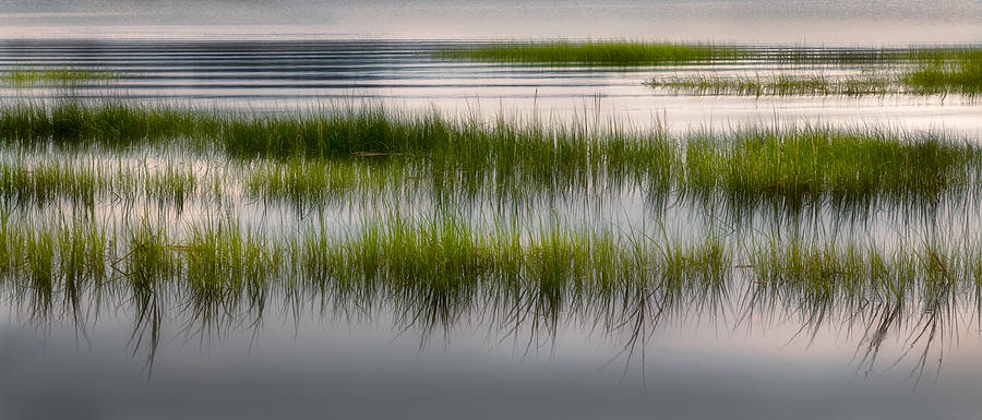 Cape Cod Marsh Photograph by Bill Wakeley