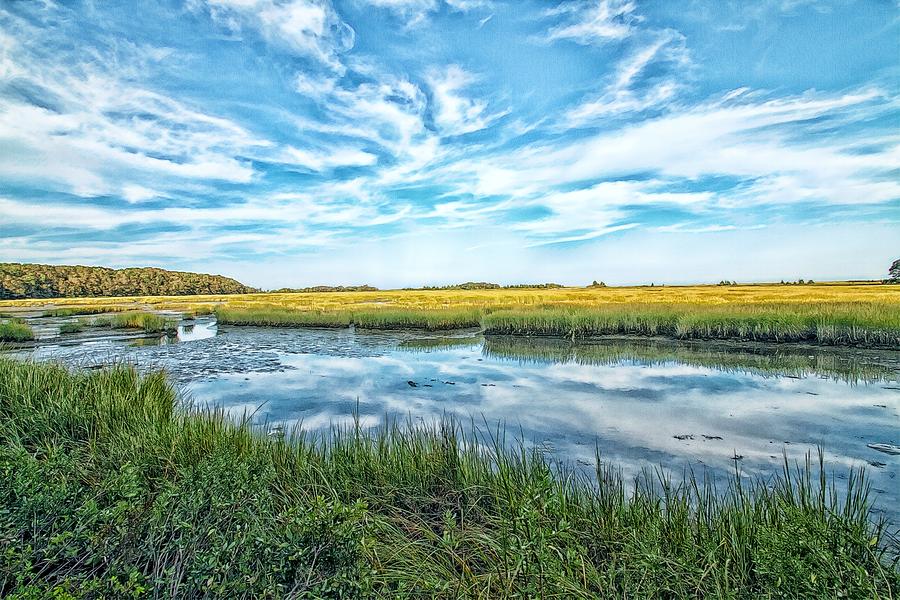 Cape Cod Salt Marsh At Low Tide Photograph by Constantine Gregory