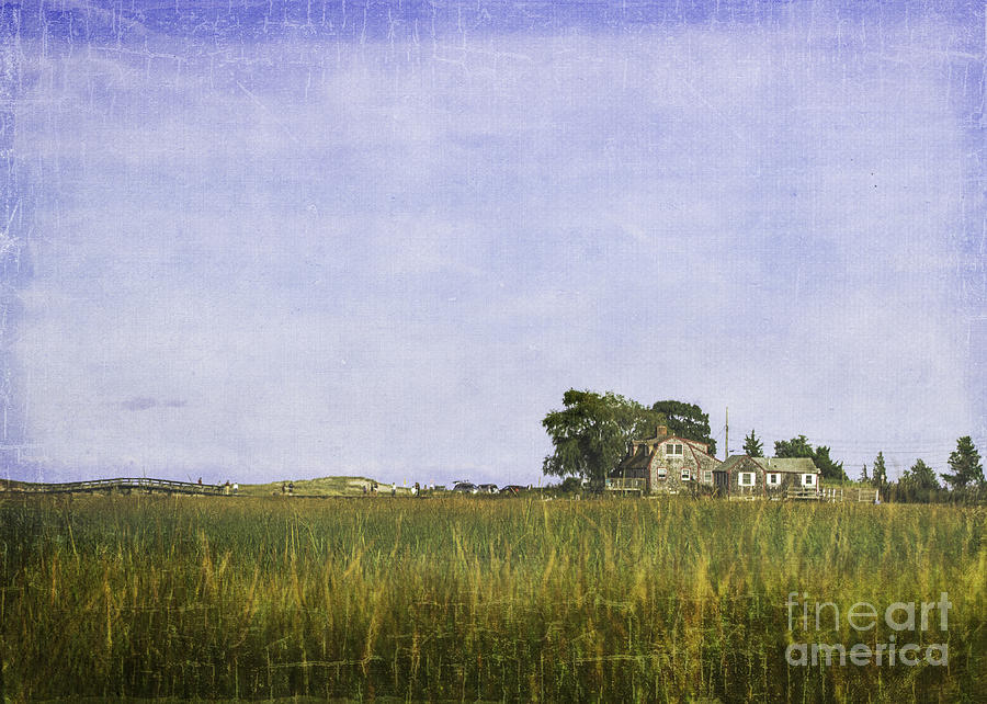 Cape Cod Salt Marsh Photograph by Mary Ellen Hill - Fine Art America