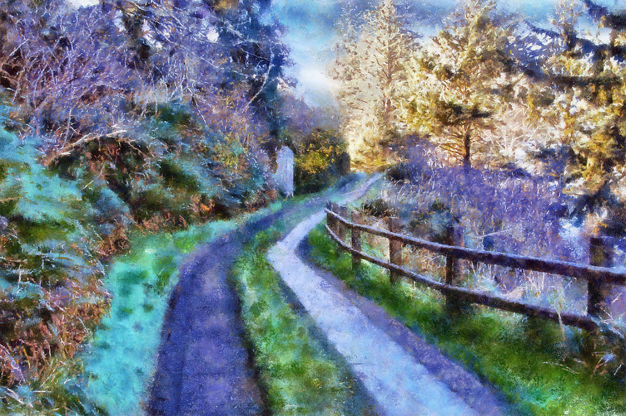 Cape Disappointment Road Digital Art by Kaylee Mason
