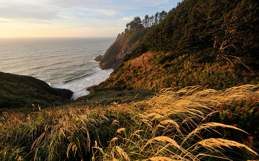 Cape Disappointment Photograph by Theodore Clutter