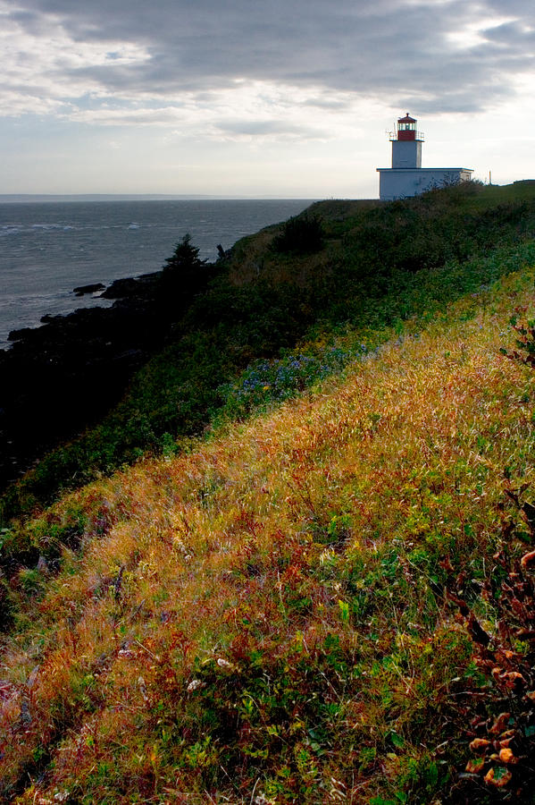 Cape DOr Lighthouse Photograph by Brent L Ander