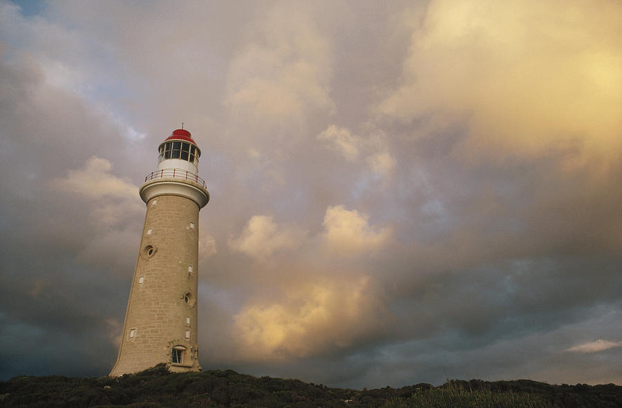 Cape Du Couedic Lighthouse Kangaroo Photograph by Gerry Ellis