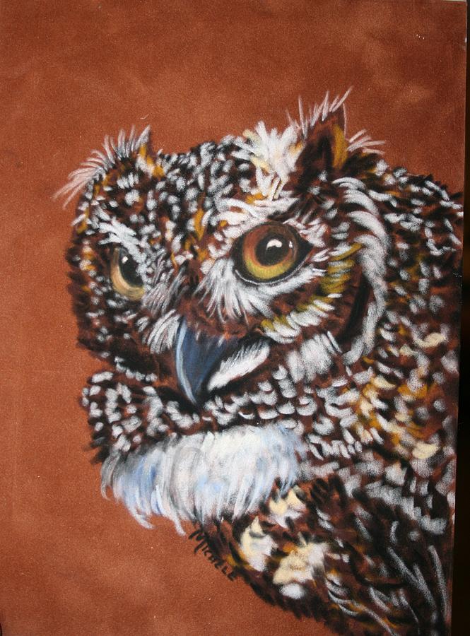 Cape Eagle Owl Pastel by Michele Turney