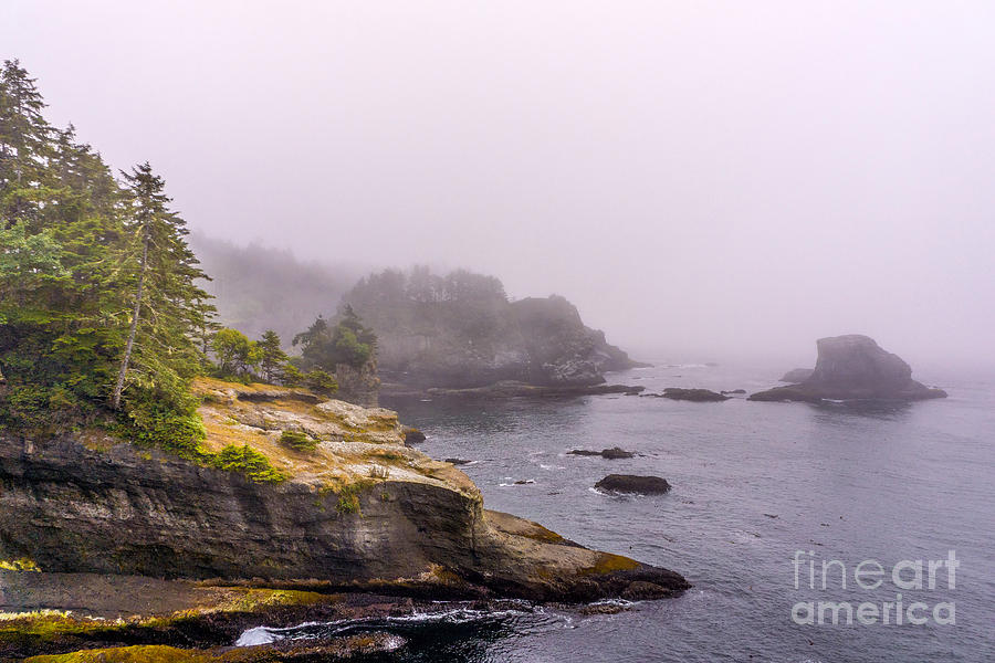 Olympic National Park Photograph - Cape Flattery by Carrie Cole