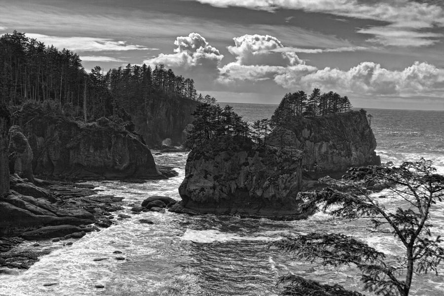 Cape Flattery Photograph by Wes and Dotty Weber