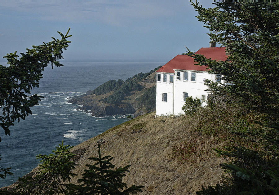 Cape Foulweather Lookout Photograph by Betty Depee