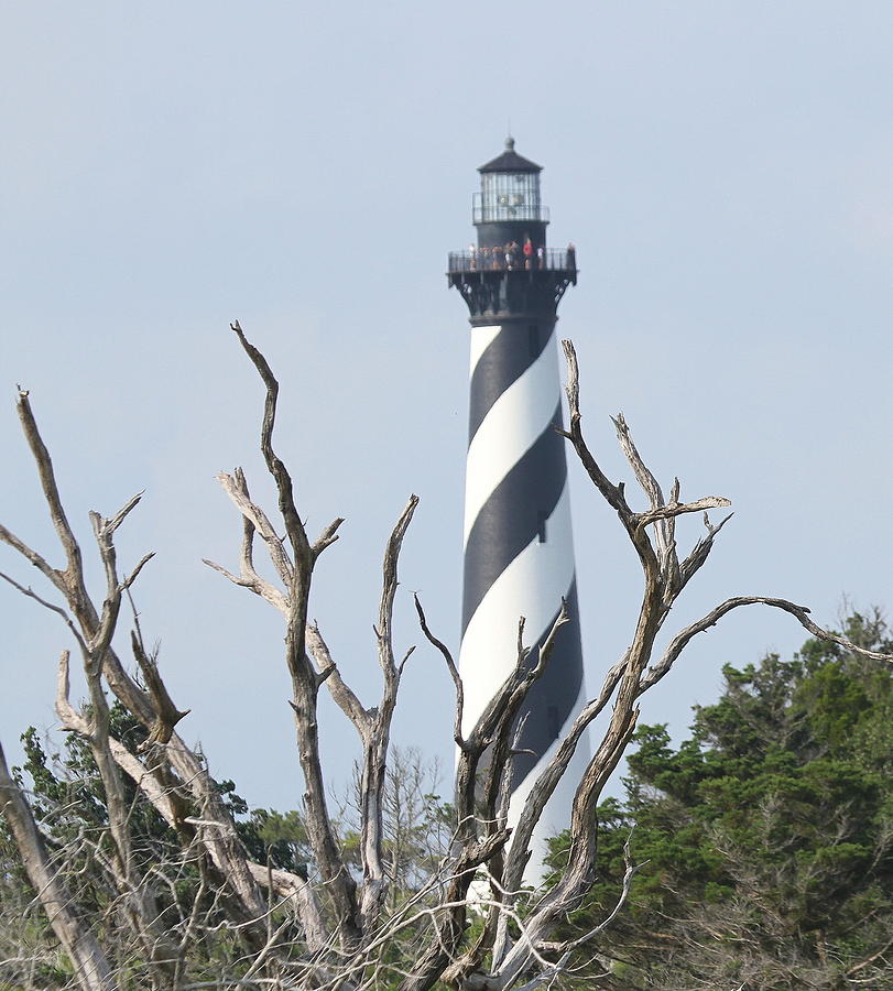 Lighthouse Photograph - Cape Hatteras Lighthouse 2014 19 by Cathy Lindsey