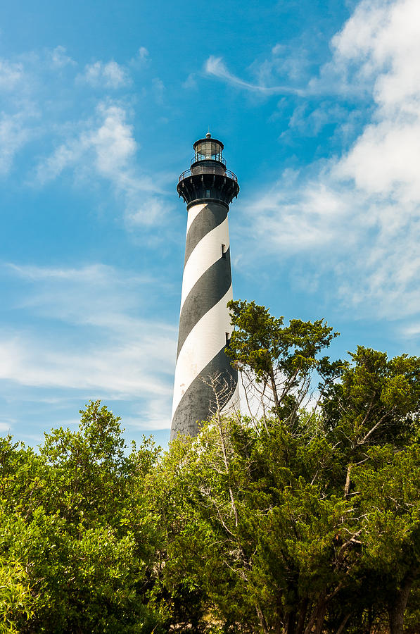 Tree Photograph - Cape Hatteras Lighthouse by Dustin Ahrens