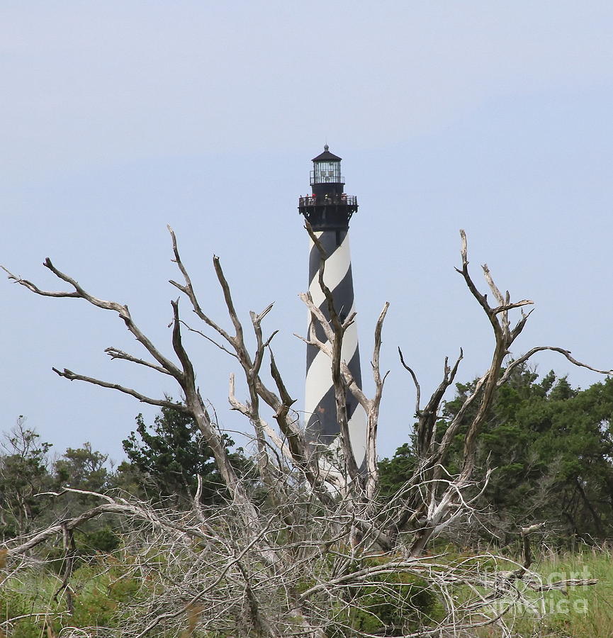 Lighthouse Photograph - Cape Hatteras Wild 3 by Cathy Lindsey