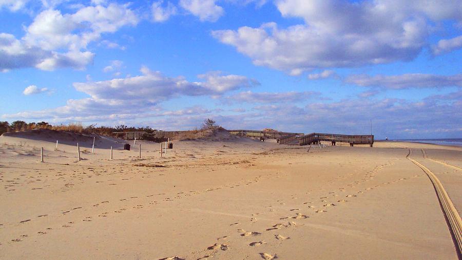 Cape Henlopen 12 Photograph by Cynthia Harvey - Pixels