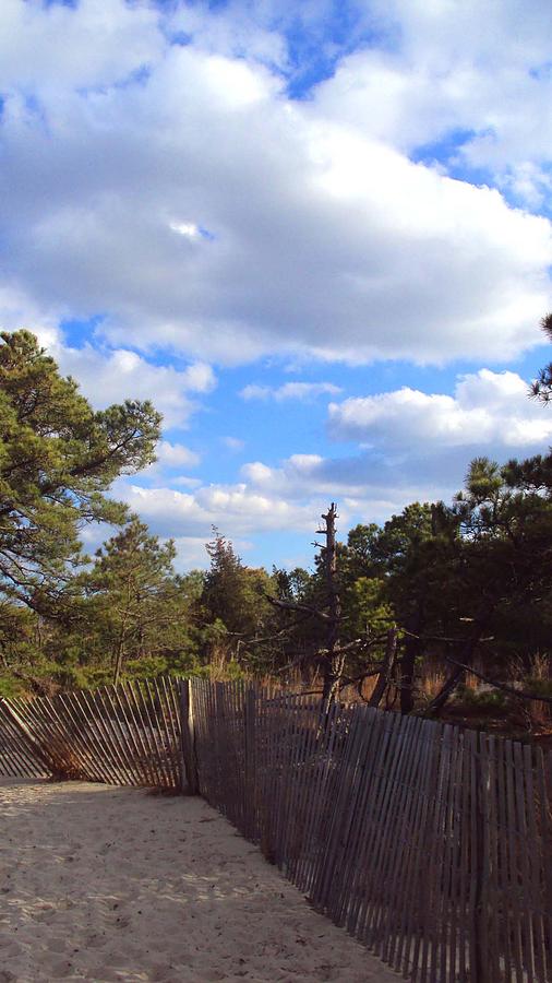 Beach Photograph - Cape Henlopen 4 by Cynthia Harvey Beach Photograph - Cape Henlopen 4 by Cynthia Harvey