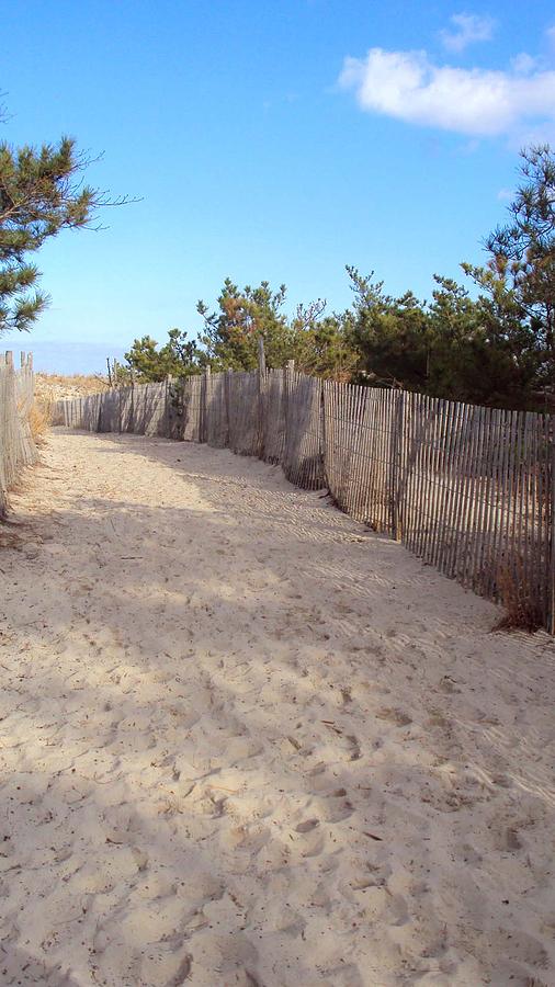 Beach Photograph - Cape Henlopen 5 by Cynthia Harvey Beach Photograph - Cape Henlopen 5 by Cynthia Harvey