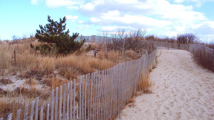 Beach Photograph - Cape Henlopen 6 by Cynthia Harvey Beach Photograph - Cape Henlopen 6 by Cynthia Harvey