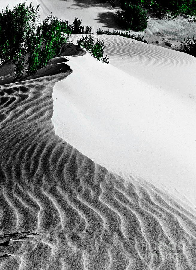Cape Le Grande Sand Dune Digital Art by Tim Richards