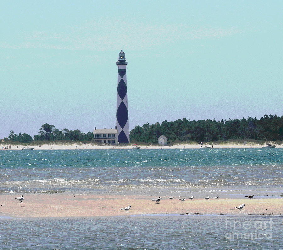 Cape Lookout and Seagulls Photograph by Cathy Lindsey