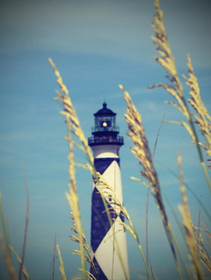 Lighthouse Photograph - Cape Lookout Light and Sea Oats 10 by Cathy Lindsey