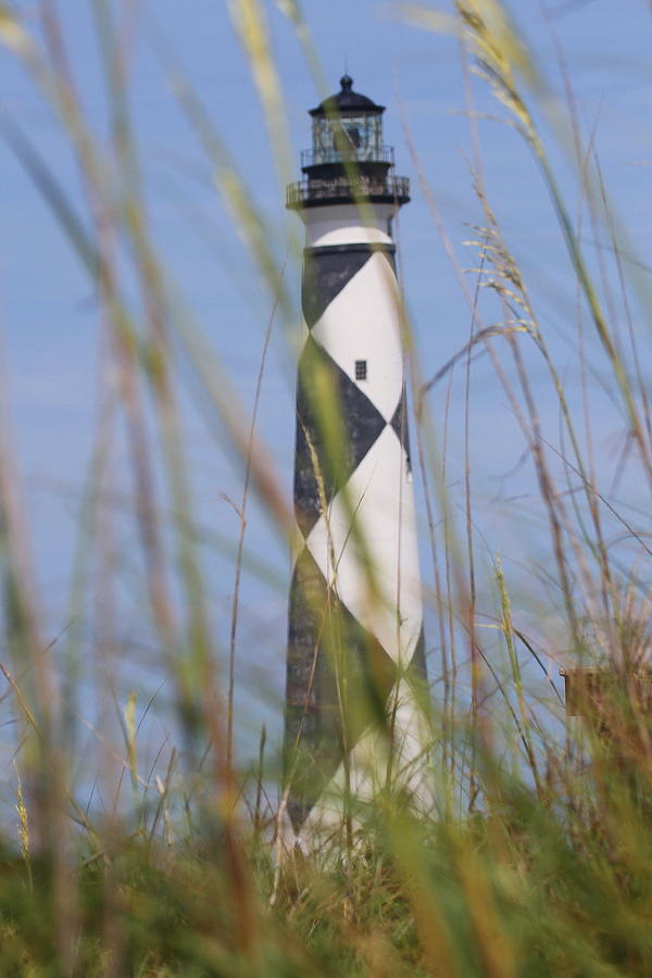Lighthouse Photograph - Cape Lookout Light and Sea Oats 2 by Cathy Lindsey