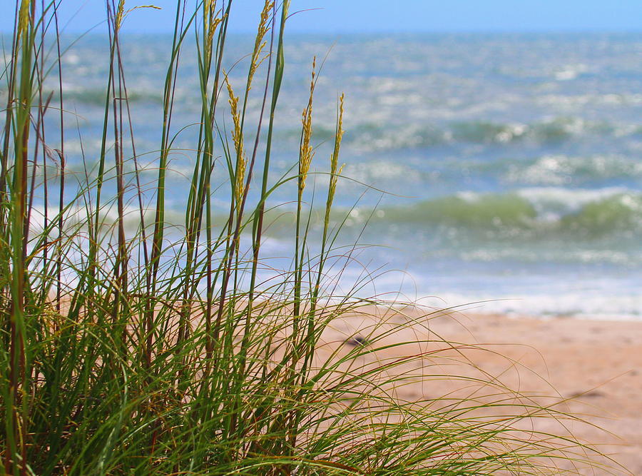 Landscape Photograph - Cape Lookout National Seashore 4  by Cathy Lindsey
