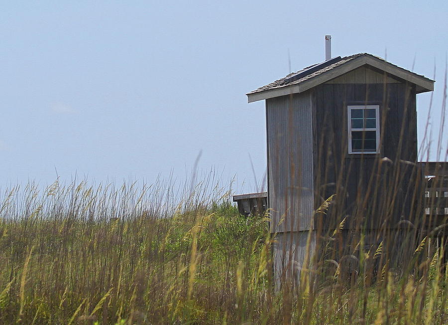 Landscape Photograph - Cape Lookout Shack by Cathy Lindsey