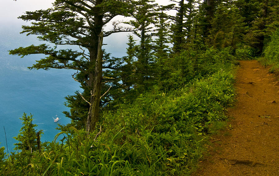 Cape Lookout Trail Photograph by Larry Goss