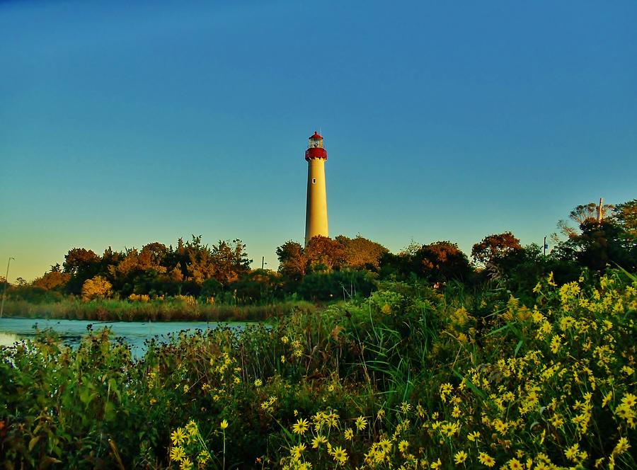 Cape May Lighthouse Above the Flowers Photograph by Ed Sweeney