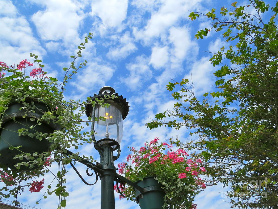Cape May Street Lamp  Photograph by Nancy Patterson