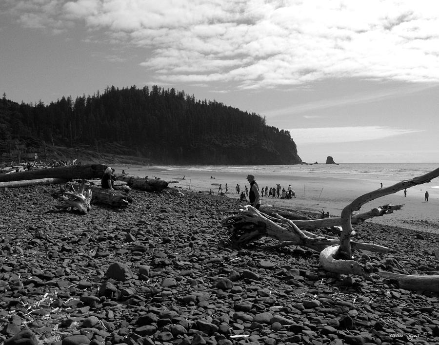 Cape Meares Photograph by Chriss Pagani