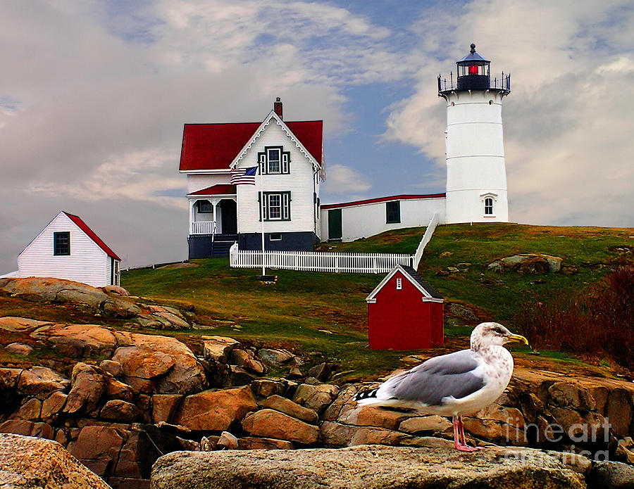 Cape Neddick Lighthouse Maine Photograph by Nick Zelinsky Jr