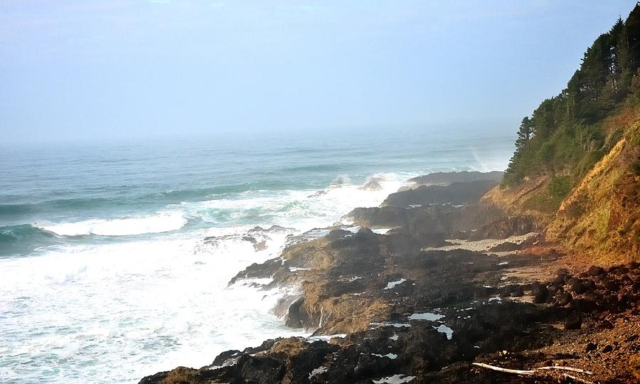 Cape Perpetua Cliffs 21318 Photograph by Jerry Sodorff