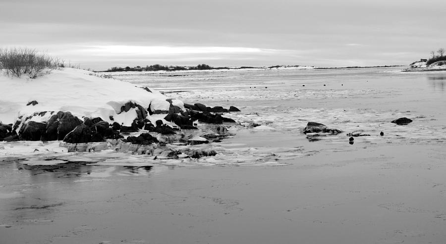 Cape Porpoise Black and White Photograph by Amy Taylor - Fine Art America