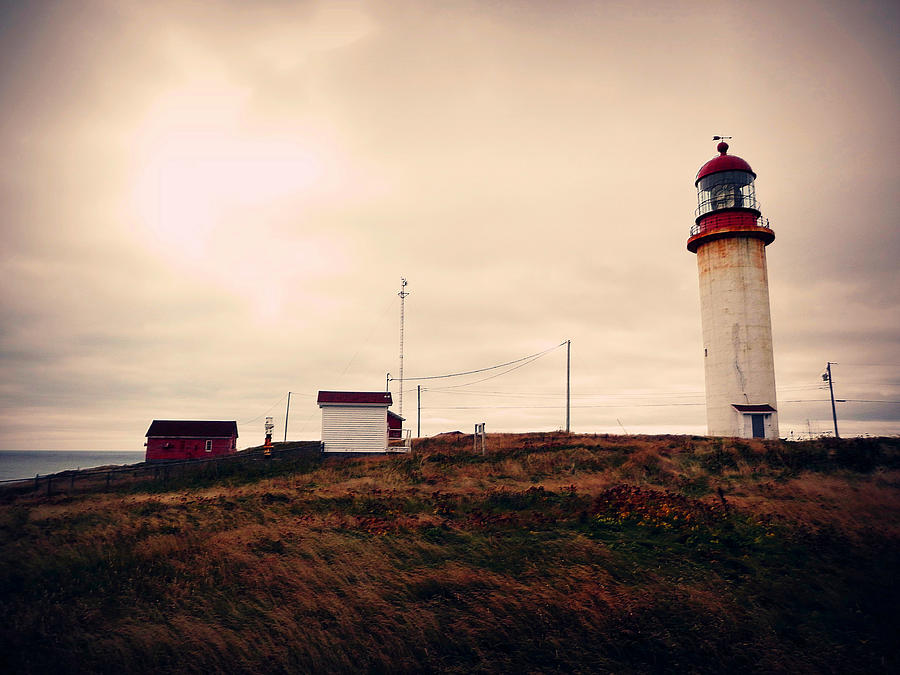 Cape Race Lighthouse Photograph by Zinvolle Art