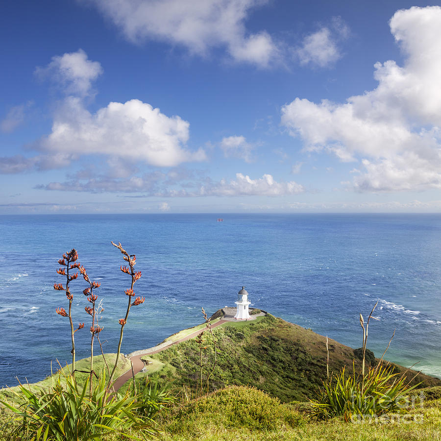 Cape Reinga Northland New Zealand Photograph by Colin and Linda McKie
