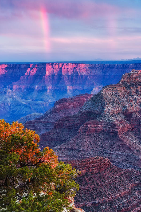 Cape Royal Rainbow over the South Rim - Grand Canyon National Park Arizona Photograph by Silvio Ligutti