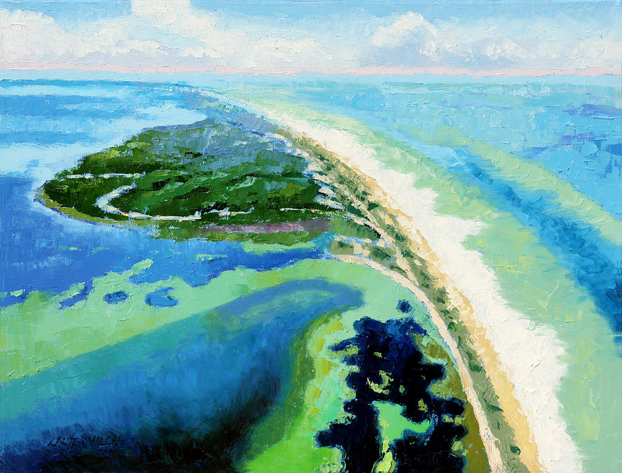 Cape San Blas Florida Painting by John Lautermilch