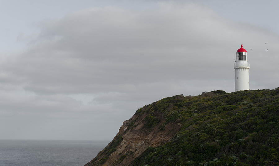 Lighthouse Photograph - Cape Schanck Lighthouse by Shari Mattox