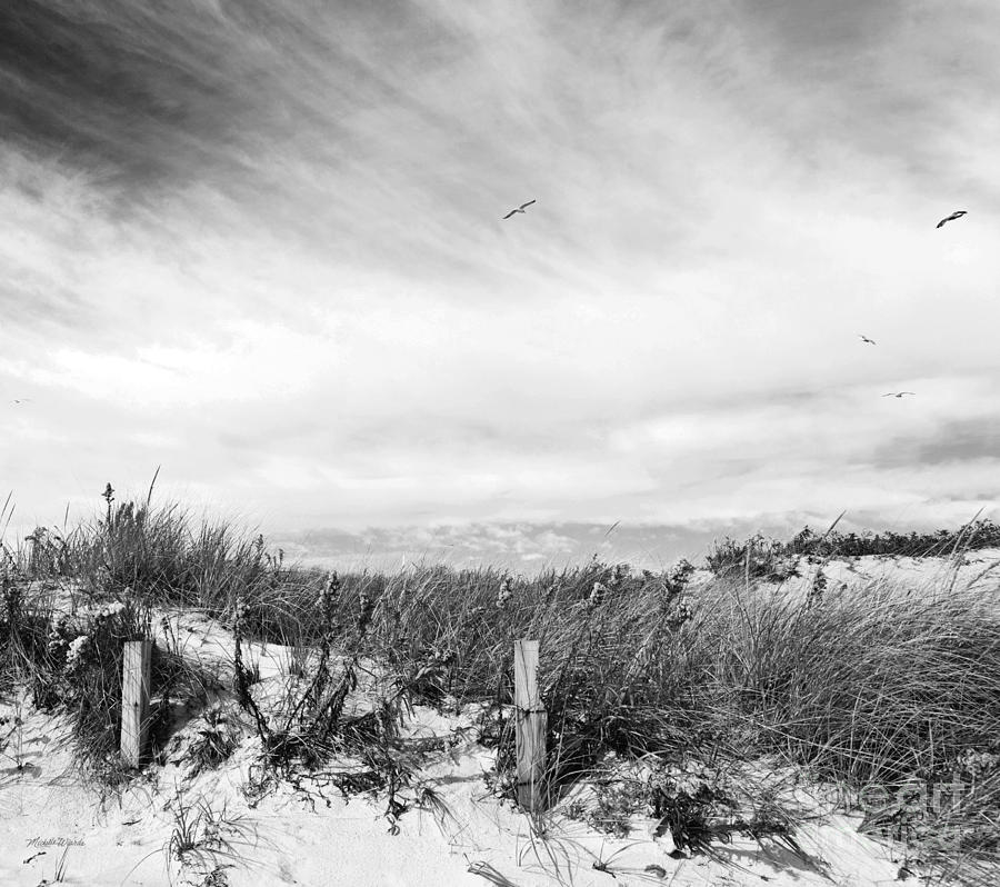Beach Photograph - Cape Shore by Michelle Constantine