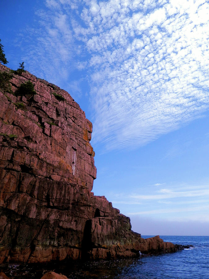 Cape Spear Path Photograph by Zinvolle Art