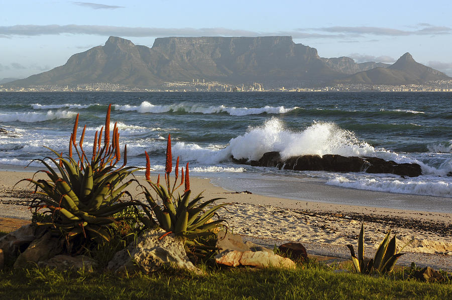 Cape Town and Table Mountain Photograph by Oversnap