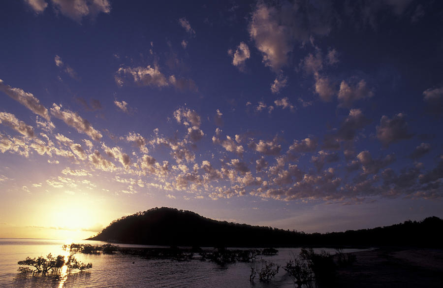 Cape Tribulation At Sunrise Photograph by Jurgen Freund